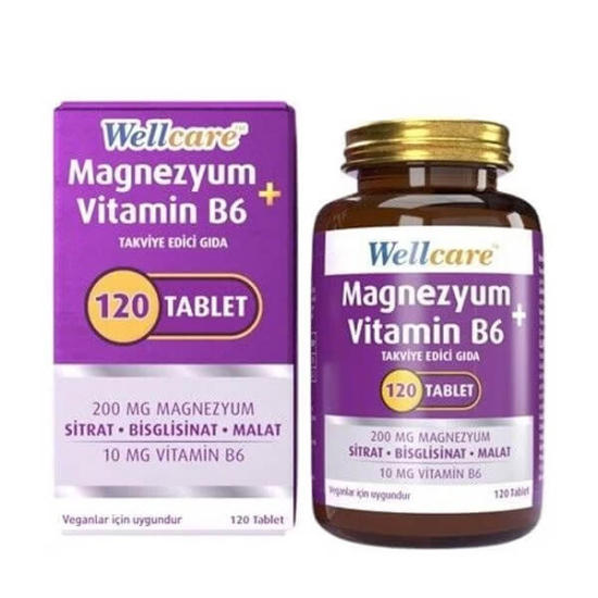  Wellcare Magnezyum Vitamin B6 120 Tablet - 1