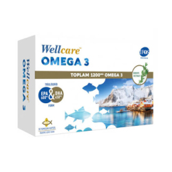 Wellcare Omega 3 1200 mg 30 Kapsül