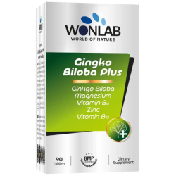 Wonlab Gingko Biloba 90 Tablet - Wonlab